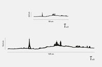 Paris Skyline Wall Art