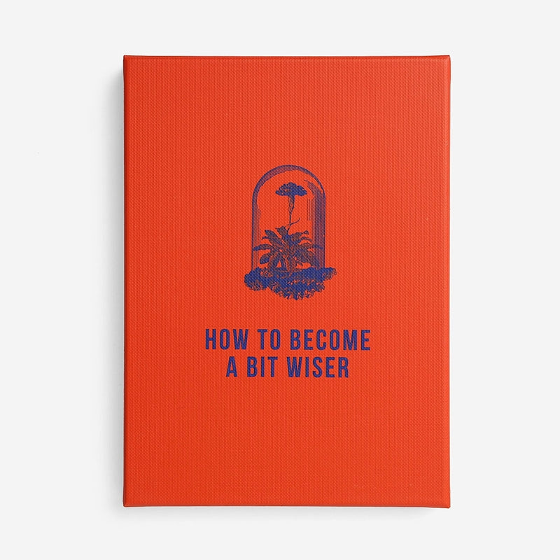 How to Become A Bit Wiser Card Set